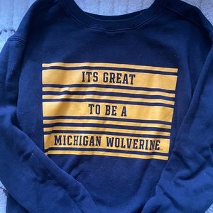 Pink University of Michigan Crew Neck